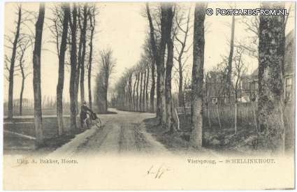 ansichtkaart: Schellinkhout, Viersprong