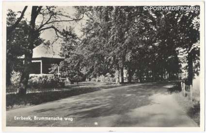 ansichtkaart: Eerbeek, Brummensche weg