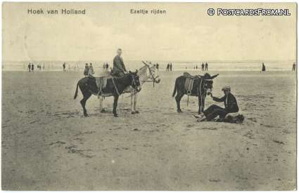 ansichtkaart: Hoek van Holland, Ezeltje rijden