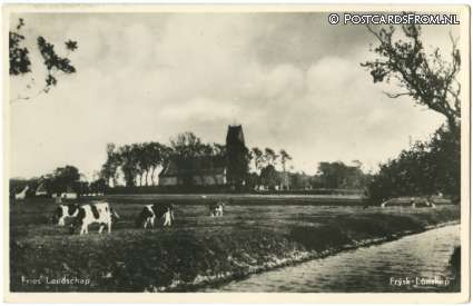 Jelsum, Fries Landschap ansichtkaart: Jelsum, Fries Landschap