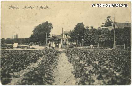 Stiens, Achter 't Bosch ansichtkaart: Stiens, Achter 't Bosch
