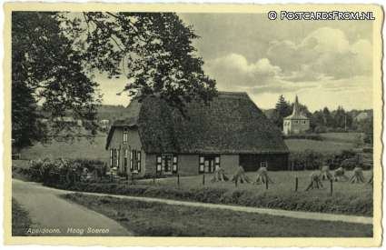 ansichtkaart: Hoog Soeren, --