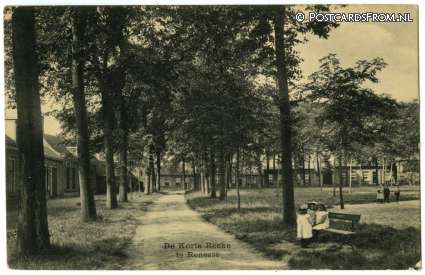 ansichtkaart: Renesse, De Korte Reeke