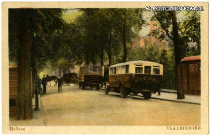 ansichtkaart: Vlaardingen, Hoflaan