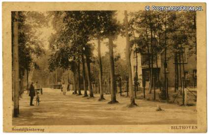 ansichtkaart: Bilthoven, Soestdijkscheweg