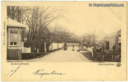 ansichtkaart: Appingedam, Koningstraat