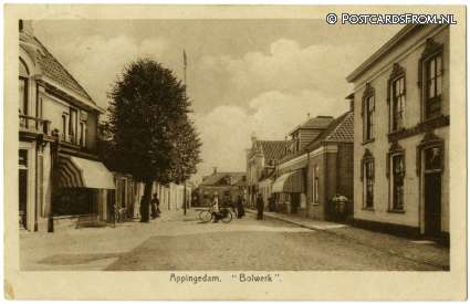 ansichtkaart: Appingedam, Bolwerk