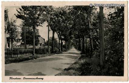 ansichtkaart: Koudum, Dammenscheweg