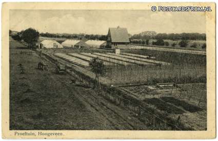 ansichtkaart: Hoogeveen, Proeftuin