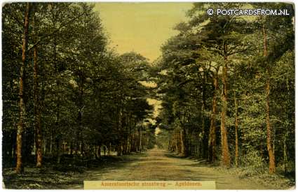 Apeldoorn, Amersfoortsche straatweg ansichtkaart: Apeldoorn, Amersfoortsche straatweg