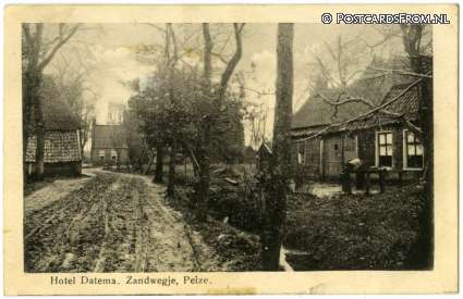 ansichtkaart: Peize, Hotel Datema. Zandwegje