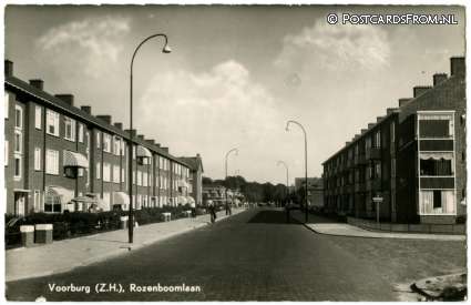 ansichtkaart: Voorburg, Rozenboomlaan hoek Cremerstraat