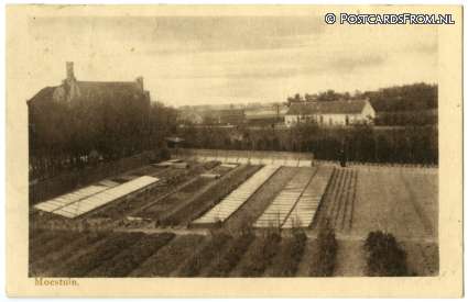 Bergen op Zoom, Juvenaat. Moestuin ansichtkaart: Bergen op Zoom, Juvenaat. Moestuin