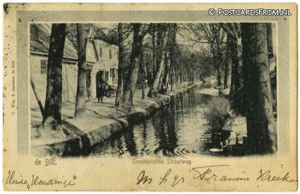 De Bilt, Soestdyksche Straatweg ansichtkaart: De Bilt, Soestdyksche Straatweg