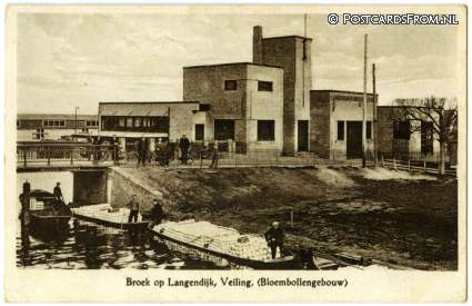 ansichtkaart: Broek op Langedijk, Veiling, Bloembollengebouw