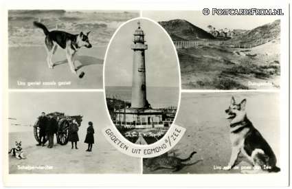 ansichtkaart: Egmond aan Zee, Groeten uit. Hond Lira
