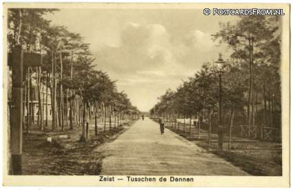 Zeist, Tusschen de Dennen ansichtkaart: Zeist, Tusschen de Dennen