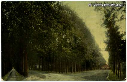 Lochem, Lanen in Ampsen ansichtkaart: Lochem, Lanen in Ampsen