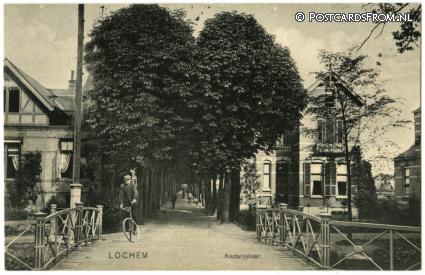 Lochem, Kastanjelaan ansichtkaart: Lochem, Kastanjelaan
