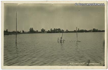 Nieuwkoop, Plasgezicht ansichtkaart: Nieuwkoop, Plasgezicht