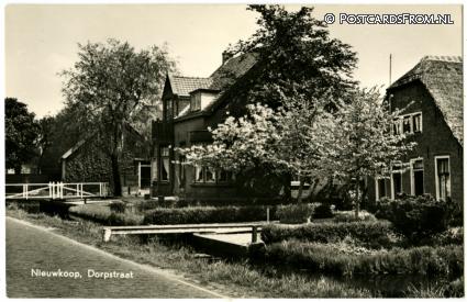 Nieuwkoop, Dorpstraat ansichtkaart: Nieuwkoop, Dorpstraat
