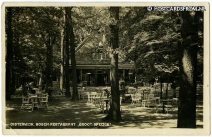 Oisterwijk, Bosch-Restaurant 'Groot-Speijck' ansichtkaart: Oisterwijk, Bosch-Restaurant 'Groot-Speijck'