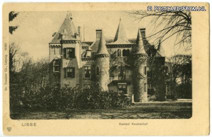 ansichtkaart: Lisse, Kasteel Keukenhof