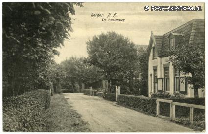 ansichtkaart: Bergen NH, De Russenweg