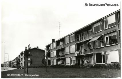 ansichtkaart: Oosterhout NB, Hertogenlaan