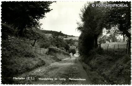 ansichtkaart: Mechelen, Wandelweg in rustig Natuurschoon