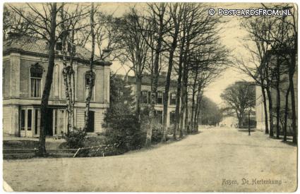 ansichtkaart: Assen, De Hertenkamp