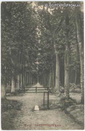 ansichtkaart: Beetsterzwaag, Walle