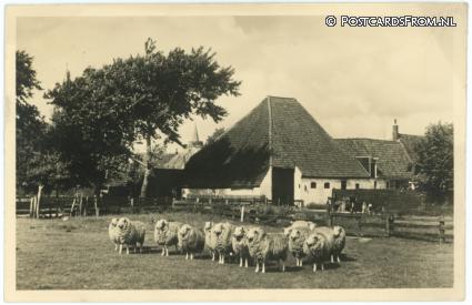 ansichtkaart: Texel, Boerderij