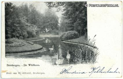 Driebergen, De Wildbaan ansichtkaart: Driebergen, De Wildbaan
