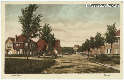 ansichtkaart: Assen, Iepenlaan