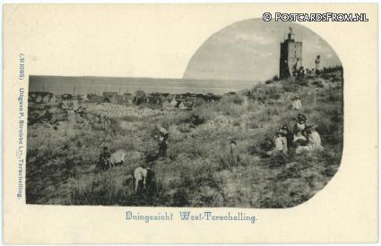 ansichtkaart: Terschelling, West. Duingezicht