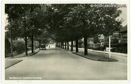 ansichtkaart: Aerdenhout, Zandvoorterweg