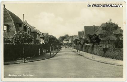ansichtkaart: Aerdenhout, Distellaan
