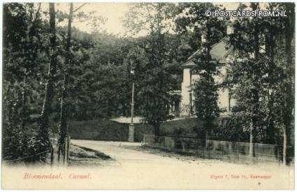 ansichtkaart: Bloemendaal, Carmel