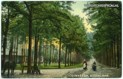 ansichtkaart: Ginneken, Boschlaan