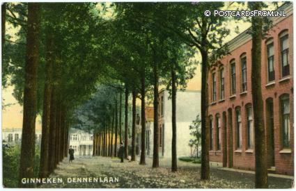 ansichtkaart: Ginneken, Dennenlaan
