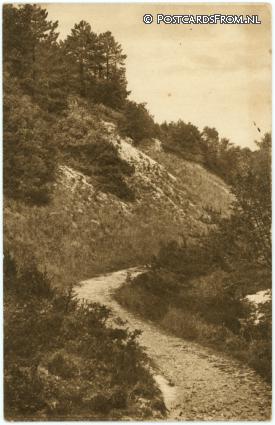 Schoorl, De Klimweg in de duinen ansichtkaart: Schoorl, De Klimweg in de duinen