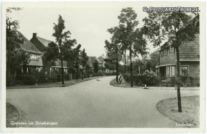 ansichtkaart: Driebergen, Lindelaan