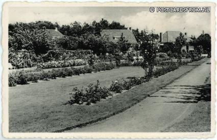 Driebergen, Rosarium ansichtkaart: Driebergen, Rosarium