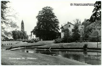 ansichtkaart: Driebergen, De Wildbaan