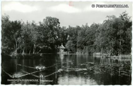 ansichtkaart: Bakkeveen, Duurswoude. Freulevijver