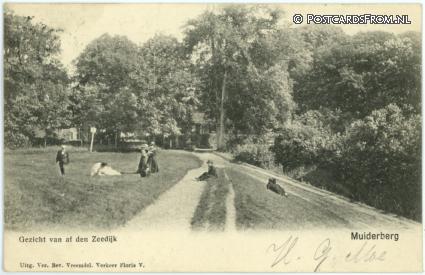 Muiderberg, Gezicht van af den Zeedijk ansichtkaart: Muiderberg, Gezicht van af den Zeedijk