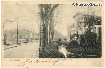 Honselersdijk, Naaldwijksche weg ansichtkaart: Honselersdijk, Naaldwijksche weg