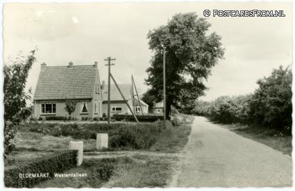 Oldemarkt, Westerdallaan ansichtkaart: Oldemarkt, Westerdallaan