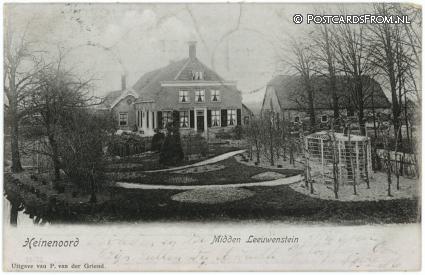 ansichtkaart: Heinenoord, Midden Leeuwenstein